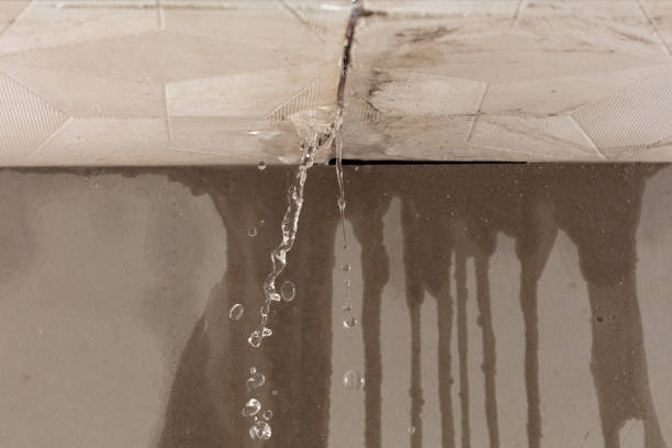 Professional Water Damage Repair technician working in Bushland, TX
